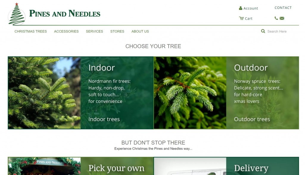 Pines and Needles PPC Landing Page
