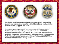 Feds Seize Over 130 Domain Names in Latest Mass Crackdown