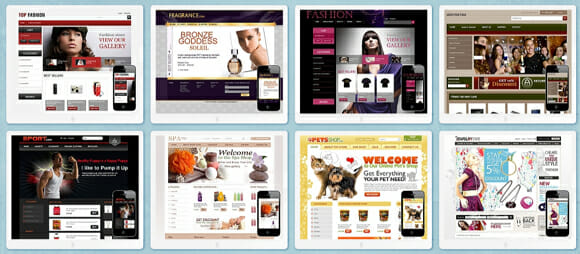 Create A Successful Online Store with Izzonet