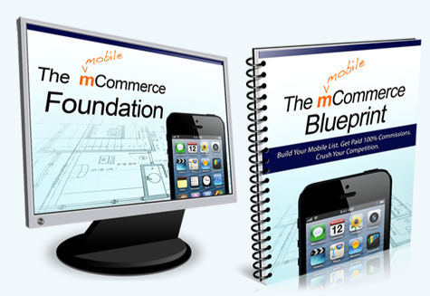 The mCommerce Foundation