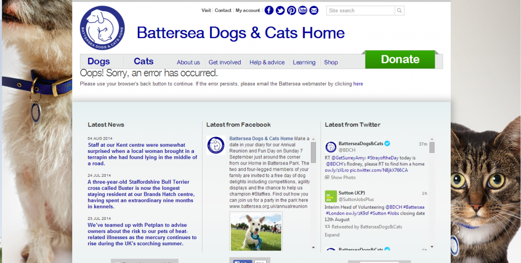 Battersea PPC Landing Page