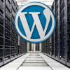 3 Tips To WordPress Hosting