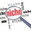 Why You Should Include Niche Keywords in a PPC Campaign