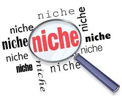 Why You Should Include Niche Keywords in a PPC Campaign