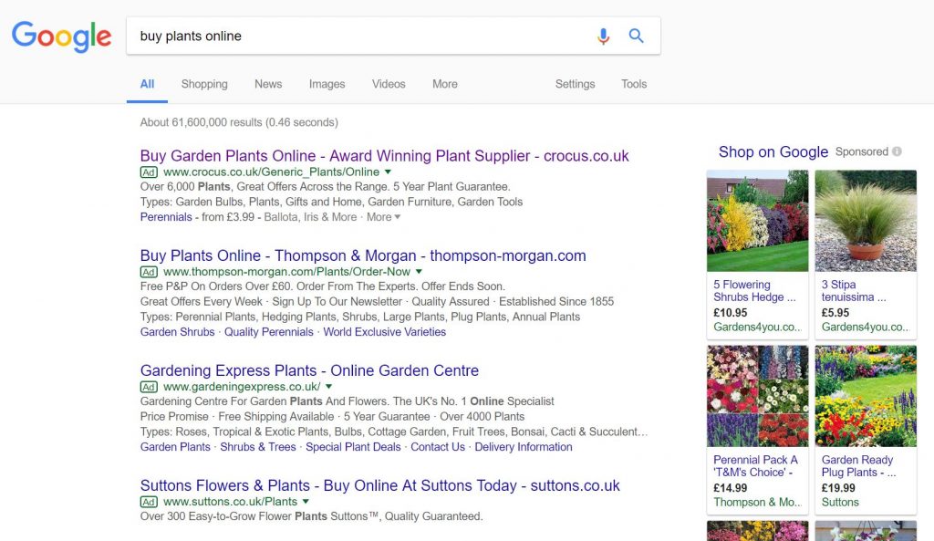 Crocus – Analyse A Real PPC Campaign