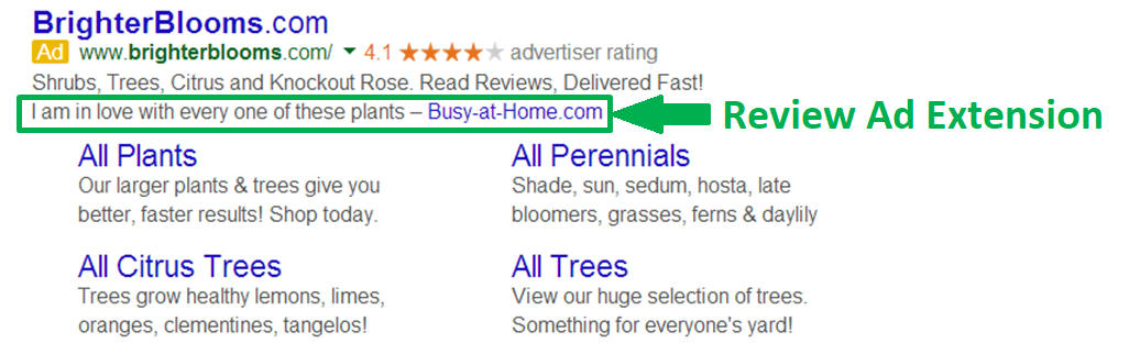 Review-Ad-Extension-to-be-Removed-from-Google-AdWords.png