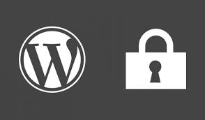 9 Ways to Improve the Security of a WordPress Website