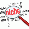 How-to-Find-a-Niche-Sector-to-Create-a-Website-For.gif