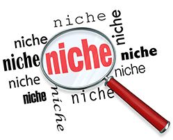 How to Find a Niche Sector to Create a Website For