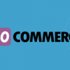 WooCommerce-Should-You-Use-It.png