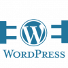 3-Must-Have-Plugins-for-WordPress-Websites.png