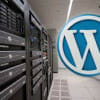 What-to-Look-for-When-Choosing-WordPress-Hosting.jpg